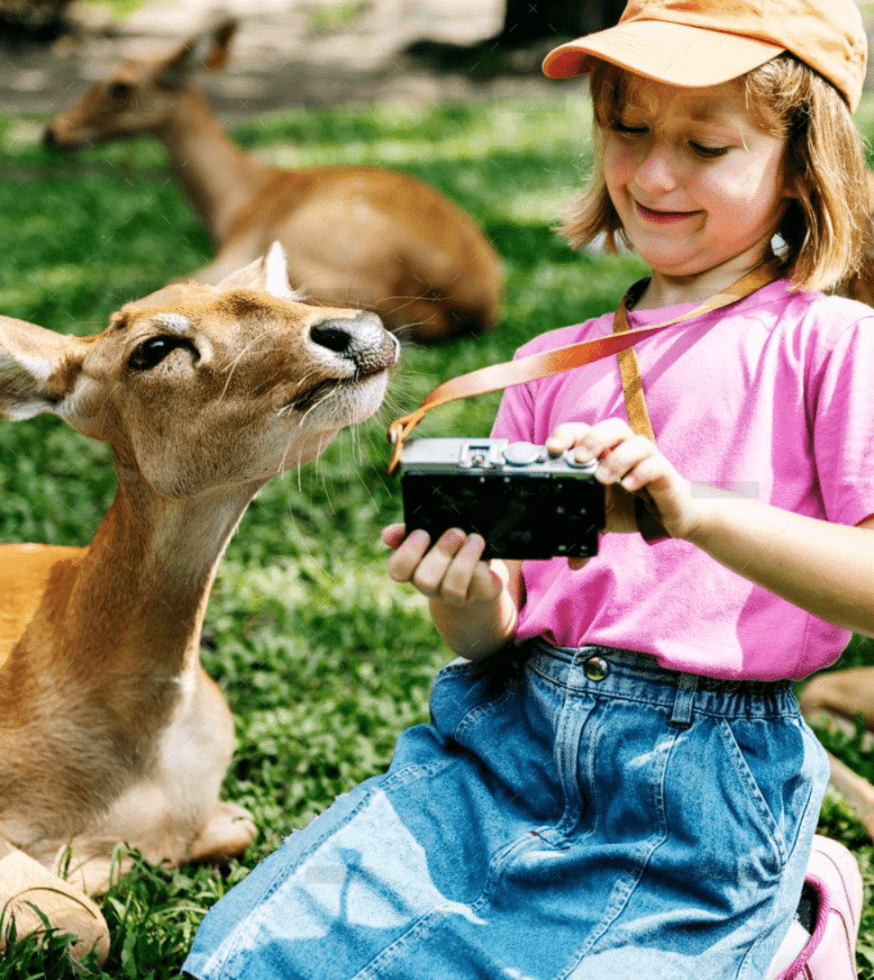 demo-attachment-285-47002-1