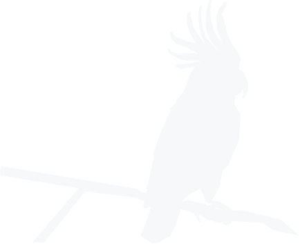 demo-attachment-165-Path-6299 demo-attachment-165-Path-6299